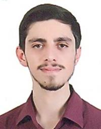 سیدحسین اوجی