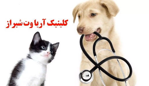 کلینیک دامپزشکی آریاوت