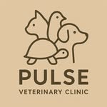 کلینیک دامپزشکی پالس